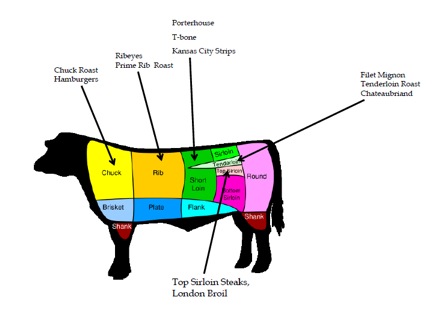 parts of a cow